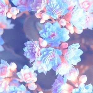 Meet Your Posher, Connie !